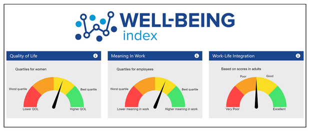 WELL-BEING INDEX